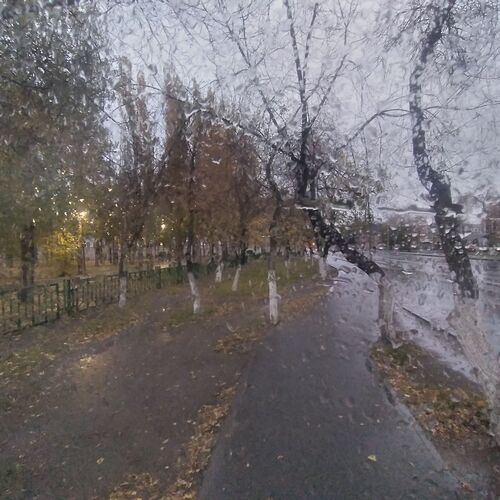 Photo #9683887