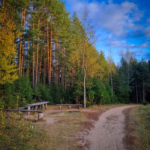 Photo #9683964