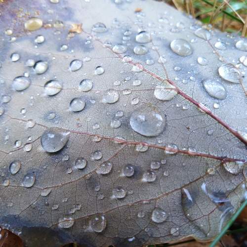 Photo #9684081