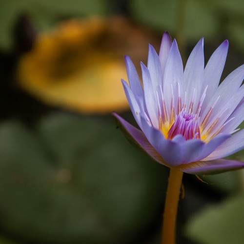 Photo #9684645