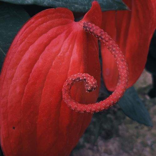 Photo #9684682