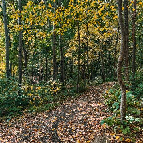 Photo #9684970