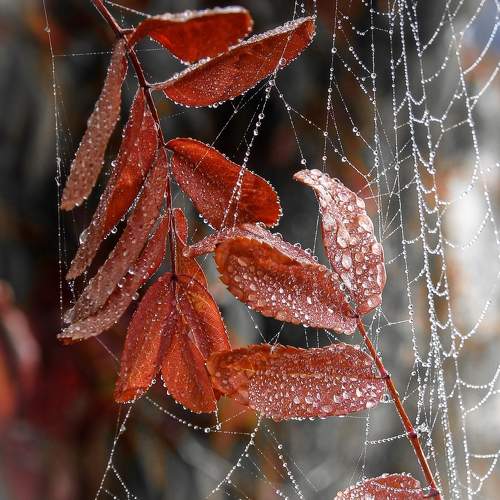Photo #9685034