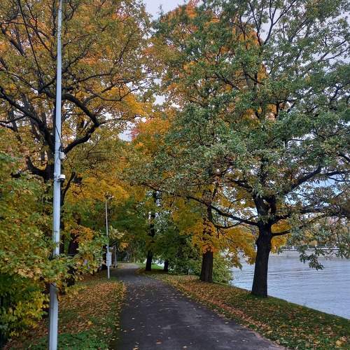 Photo #9685077