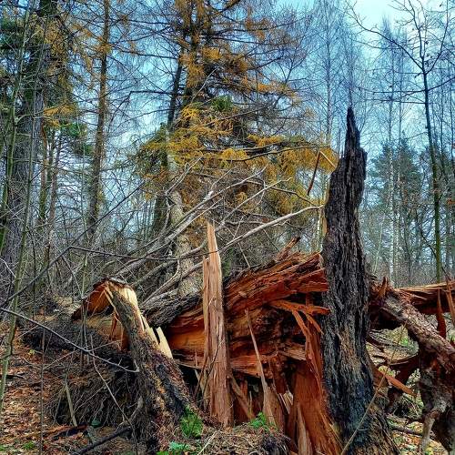 Photo #9685100