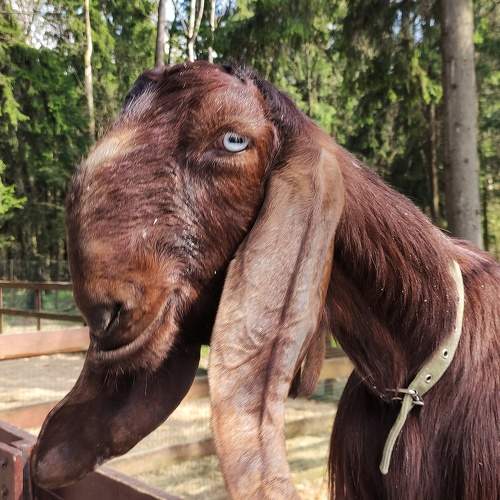 Photo #9685194