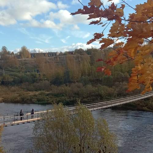 Photo #9685208