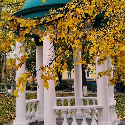 Photo #9685259
