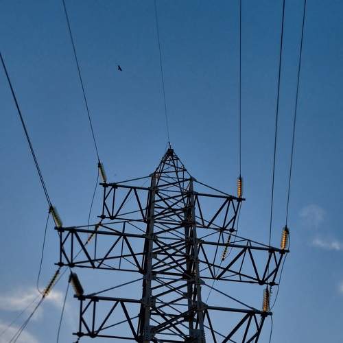 Photo #9685445