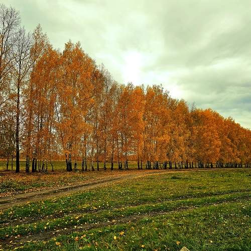 Photo #9685489