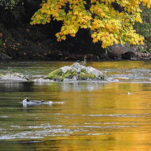 Photo #9685571