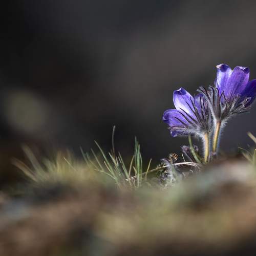 Photo #9685579
