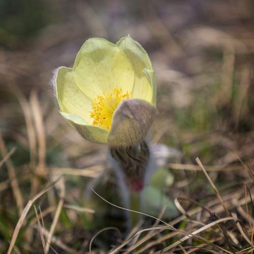 Photo #9685585
