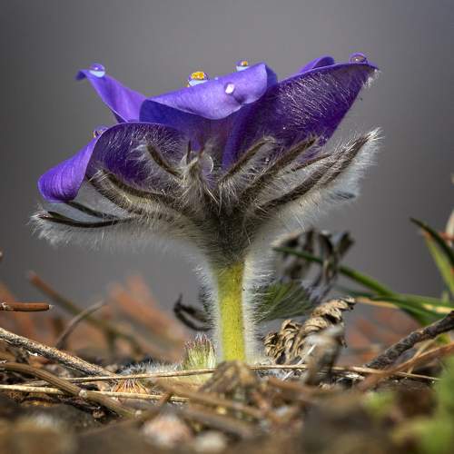 Photo #9685587