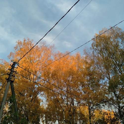 Photo #9685886