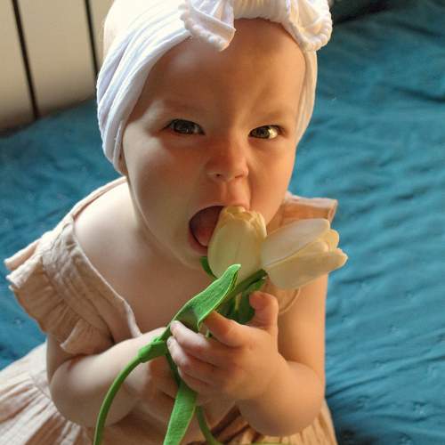 Photo #9685999