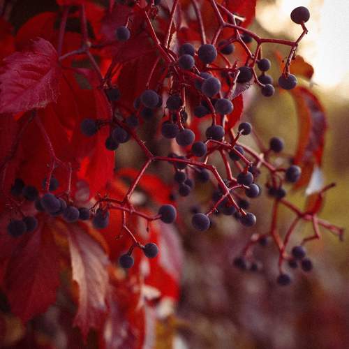 Photo #9686017
