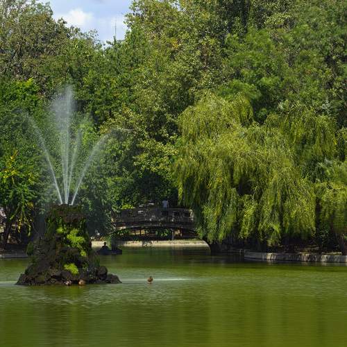 Photo #9686249