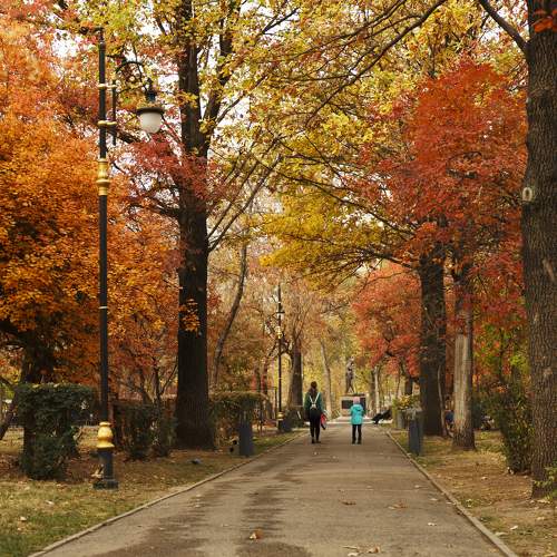 Photo #9686366