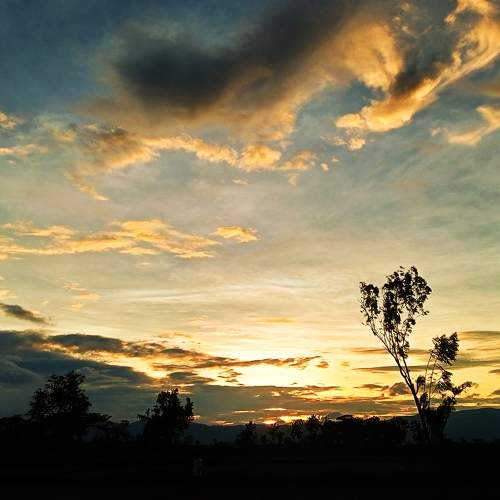 Photo #9686393