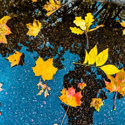 Photo #9686568