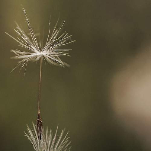 Photo #9686696