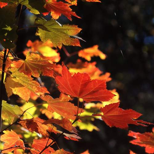 Photo #9686879