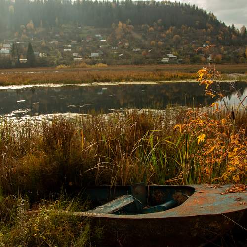 Photo #9686975