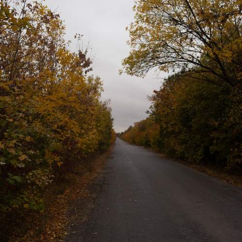 Photo #9687018