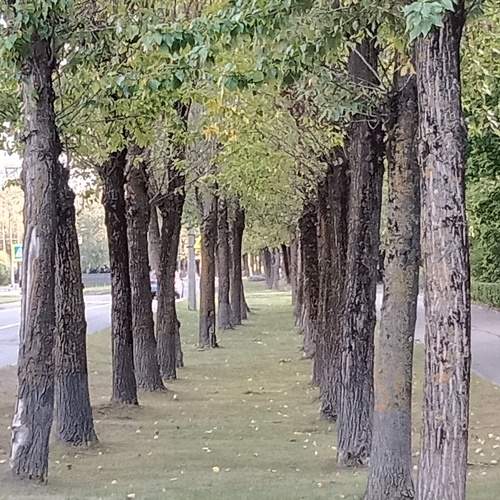 Photo #9687074