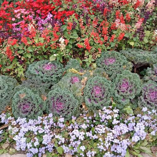Photo #9687081