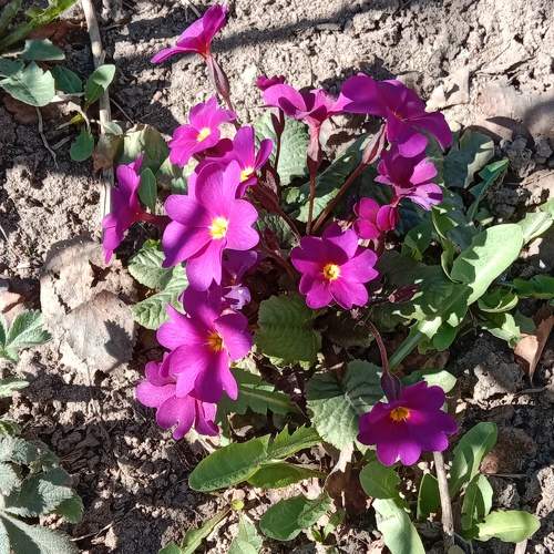 Photo #9687094