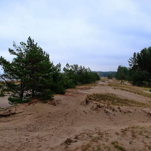 Photo #9687277