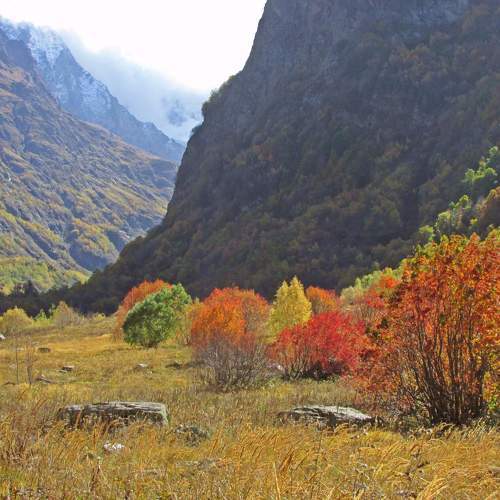 Яркая осень Домбая.