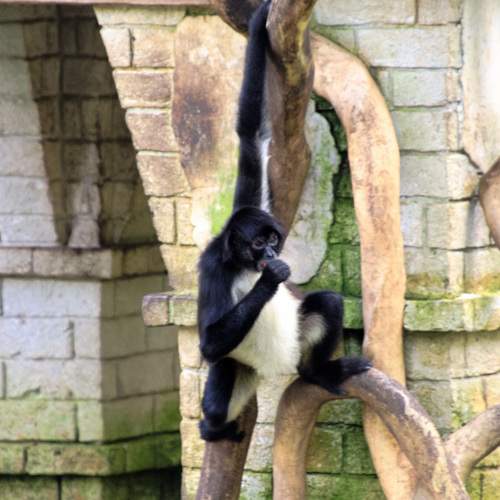 Photo #9687612