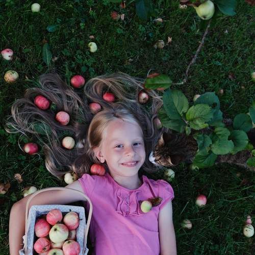 Photo #9688060