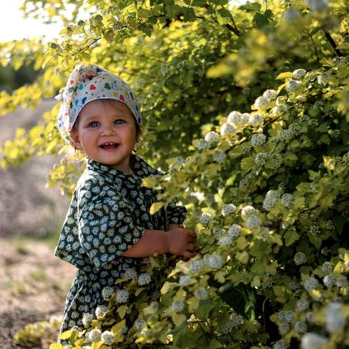 Photo #9688446