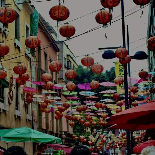 Photo #9688799