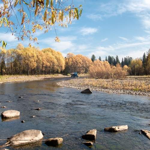 Photo #9688823