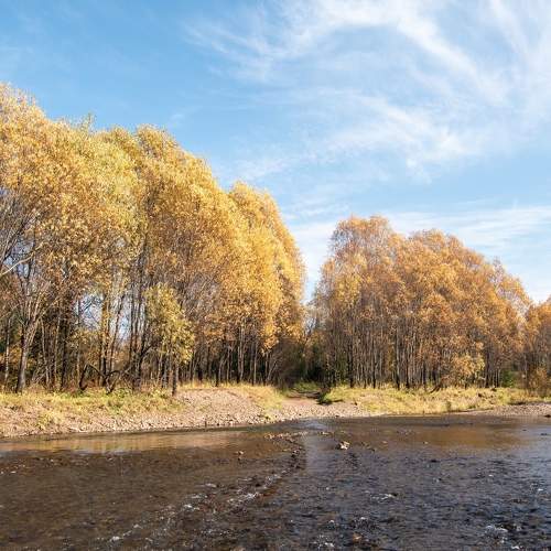 Photo #9688824