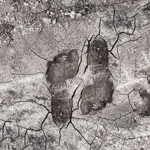 IMPRINTS