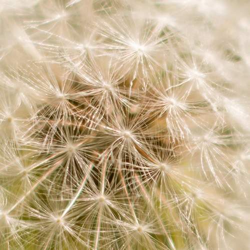Photo #9688959