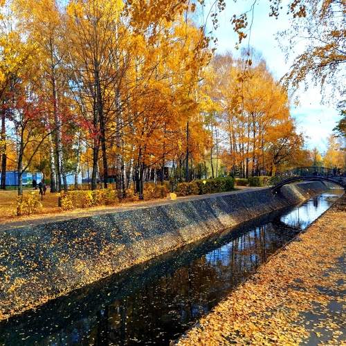 Photo #9689042