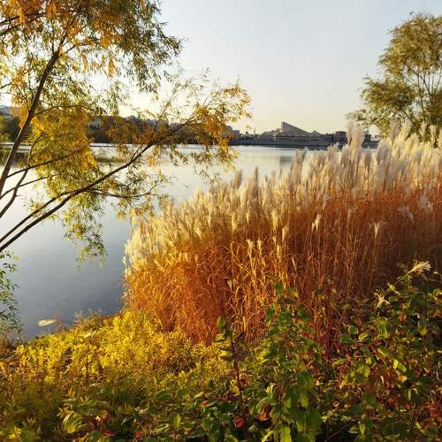 Photo #9689058