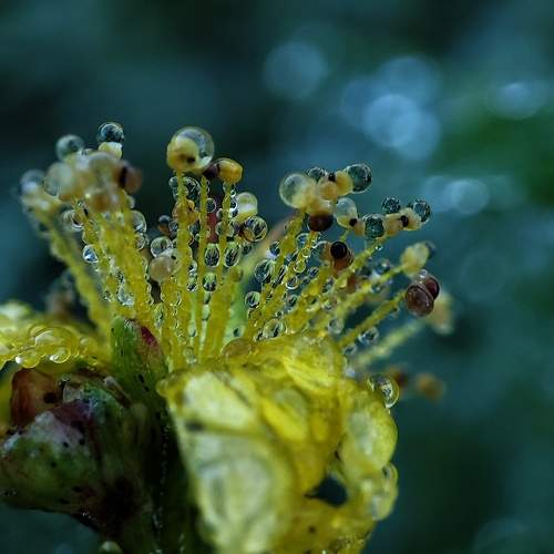 Photo #9689117