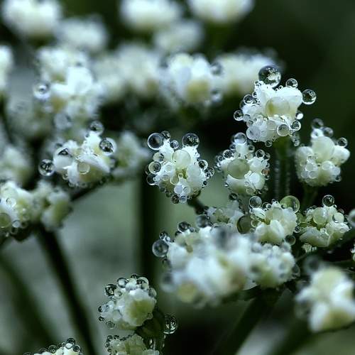 Photo #9689119