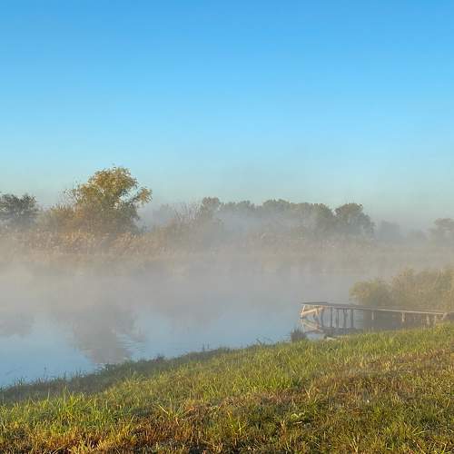 Photo #9689430