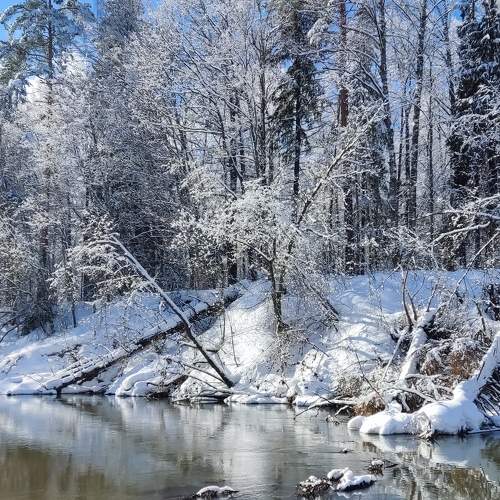Photo #9689439