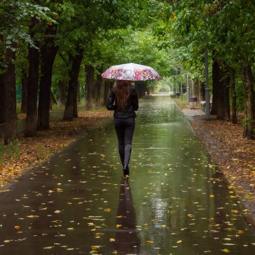 Photo #9689485