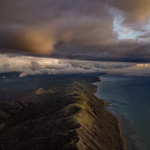 Photo #9689508